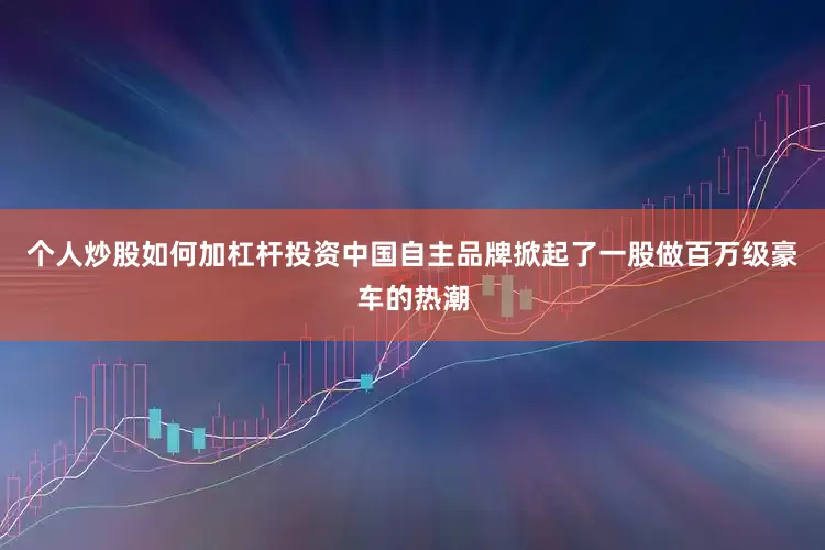 个人炒股如何加杠杆投资中国自主品牌掀起了一股做百万级豪车的热潮